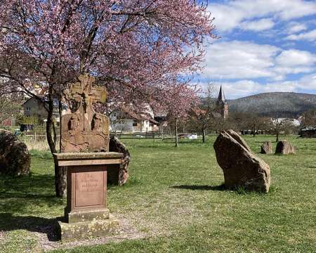 Heimatarchiv Schneeberg